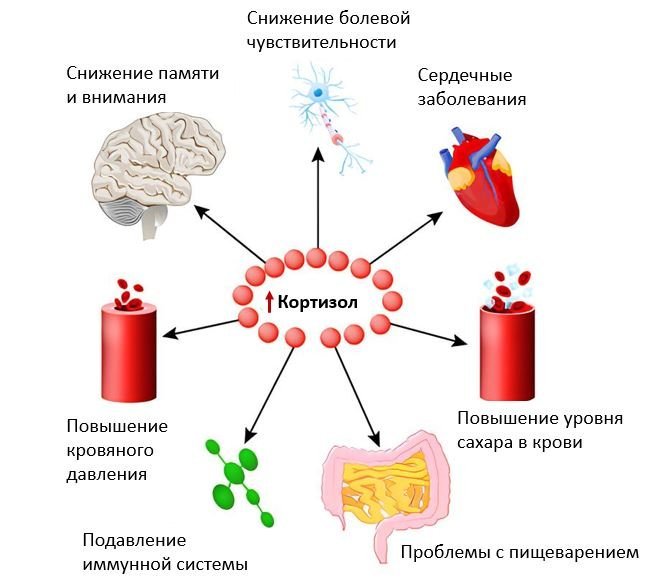 Кортизол - сеть клиник АО Семейный доктор (Москва) - Изображение 1